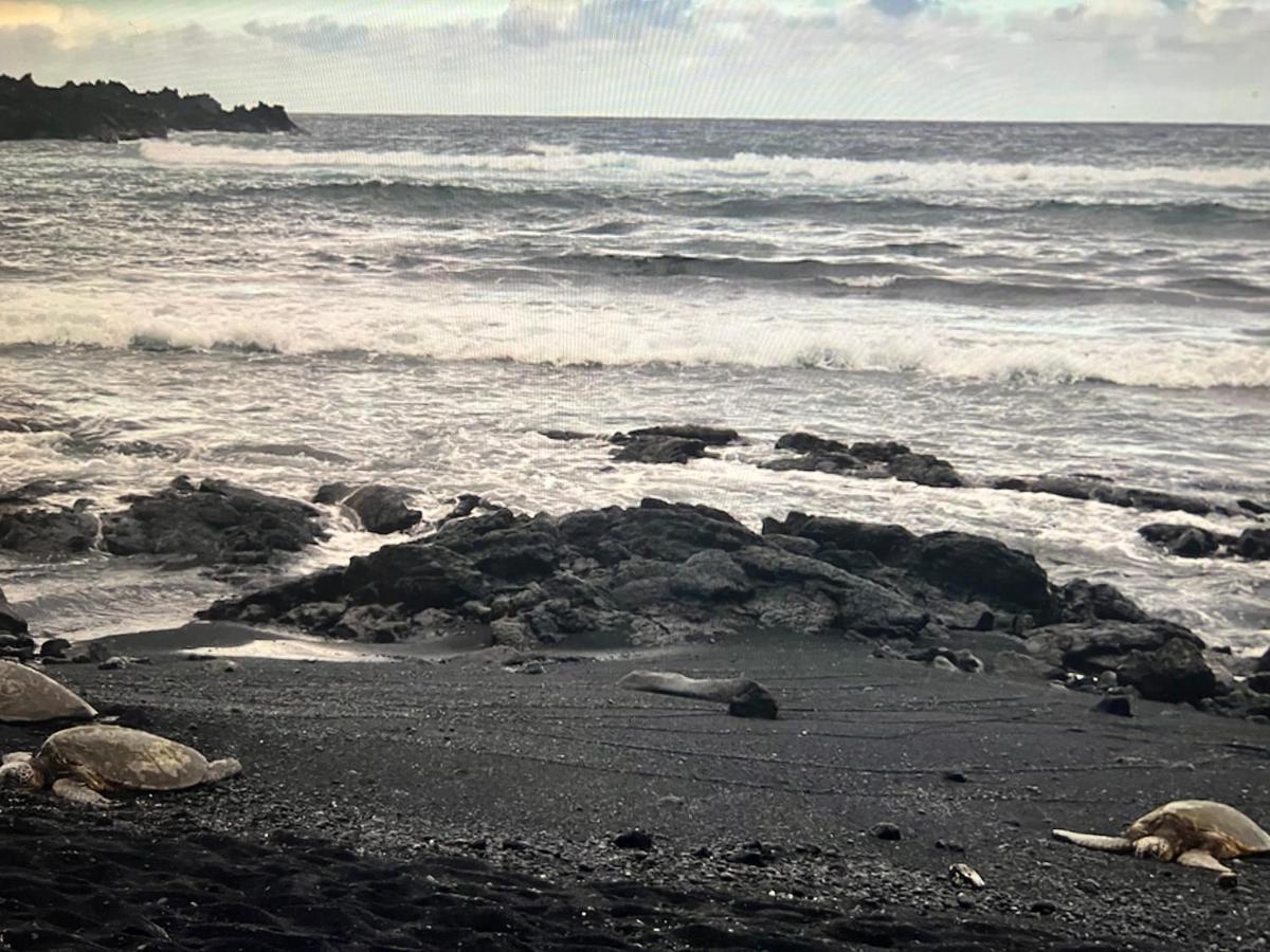 Ocean View Mauna Loa Shores Kai Ekahi #201 Next To Carlsmith Beach Park Hilo Hi エクステリア 写真